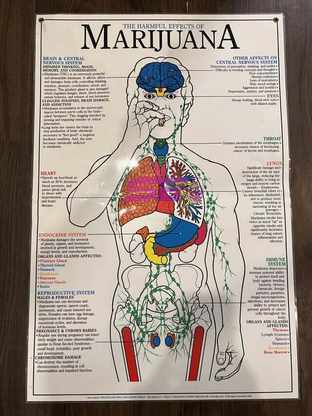 Marijuna Chart